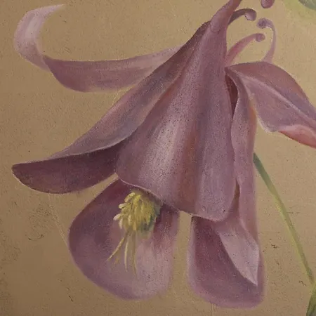 Baldo Ferrara di Monte Baldo