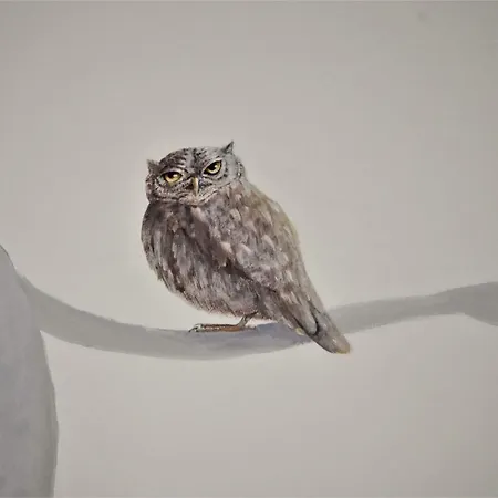 Baldo Ferrara di Monte Baldo