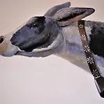 Baldo Отель Ferrara di Monte Baldo