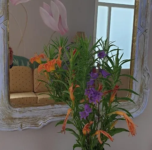 Baldo 2* Ferrara di Monte Baldo